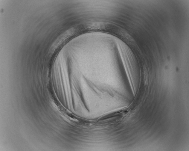 X0000053080490200508012010