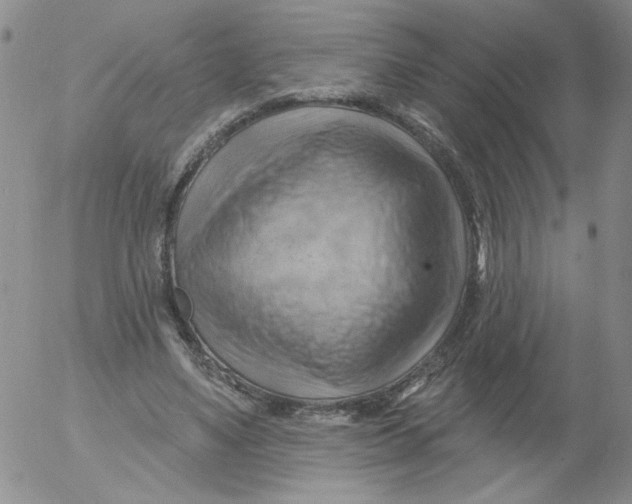 X0000053080491200508012010