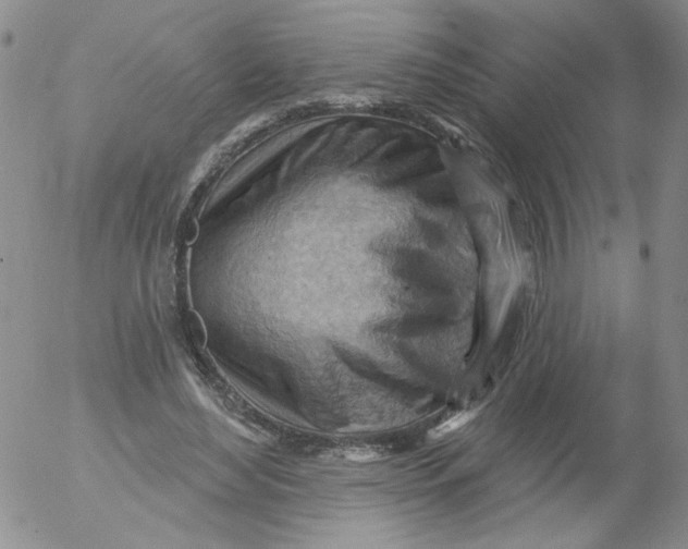 X0000053080492200508012010