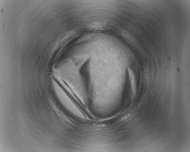 X0000053080494200508012010