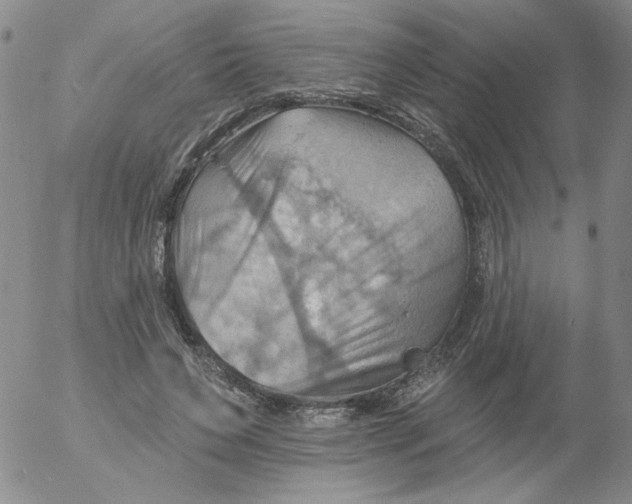 X0000053080495200508012010