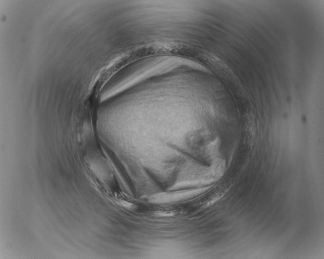 X0000053080496200508012010