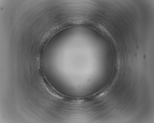 X0000053080497200508012010