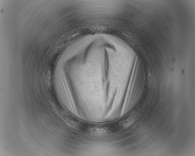 X0000053080498200508012010