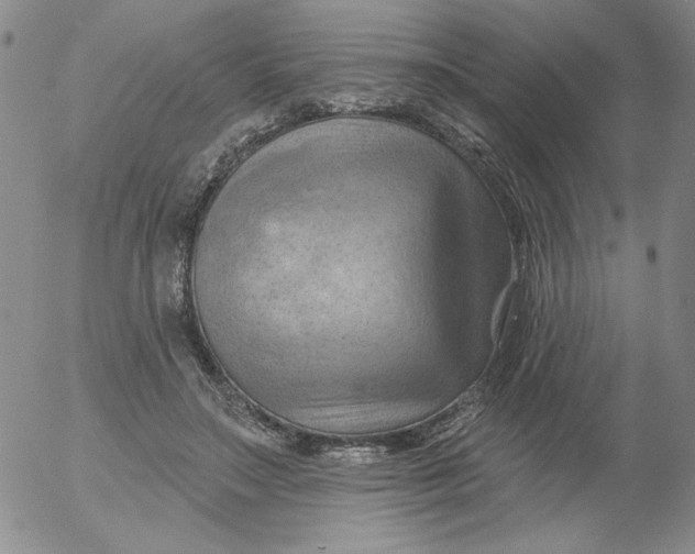 X0000053080499200508012010