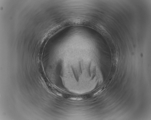 X0000053080500200508012010