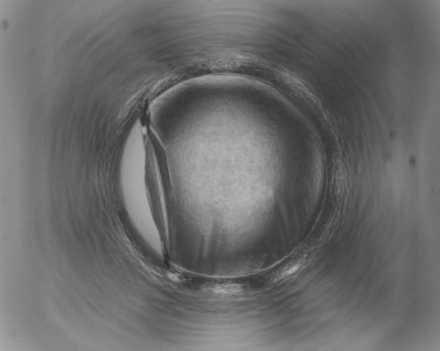 X0000053080501200508012010