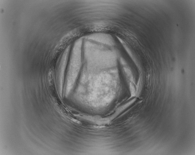 X0000053080503200508012010