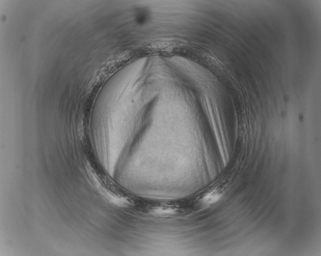 X0000053080504200508012010