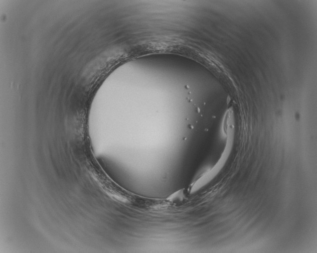 X0000053080505200508012010