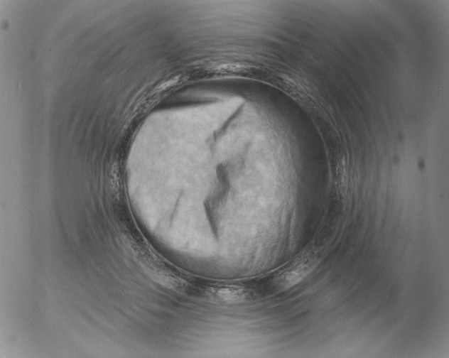 X0000053080506200508012010