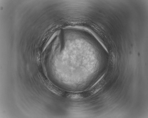 X0000053080507200508012010