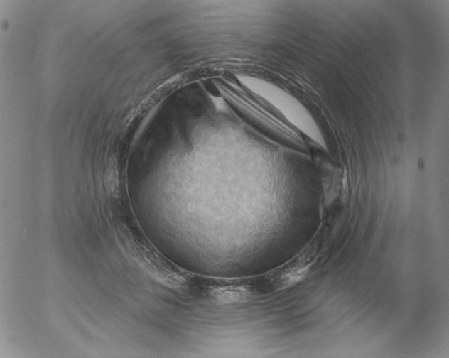 X0000053080508200508012010