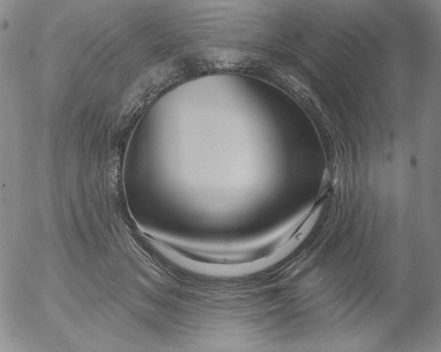 X0000053080509200508012010