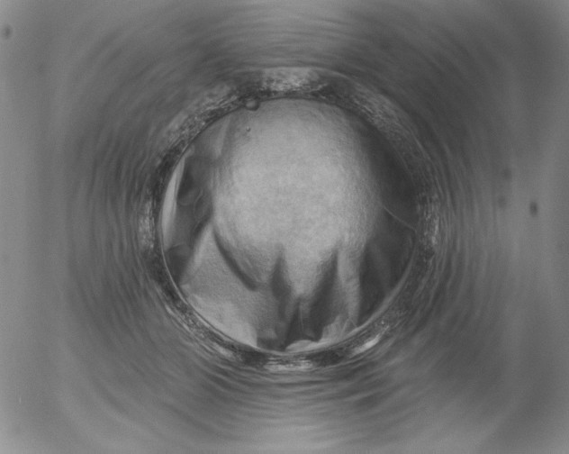 X0000053080510200508012010