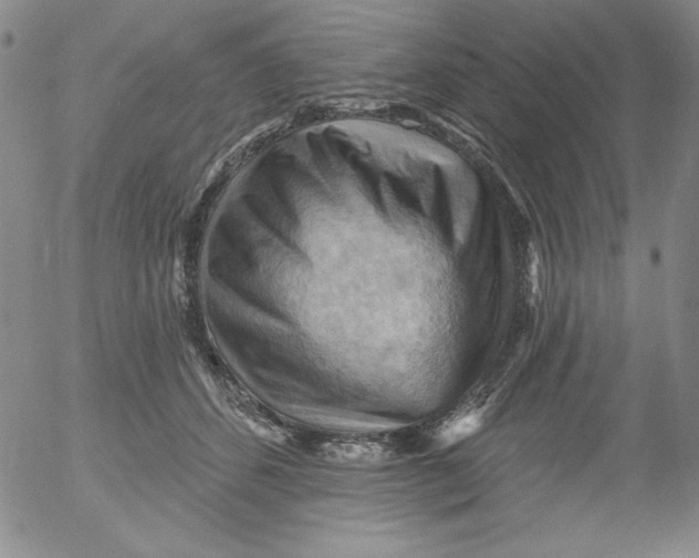 X0000053080512200508012009