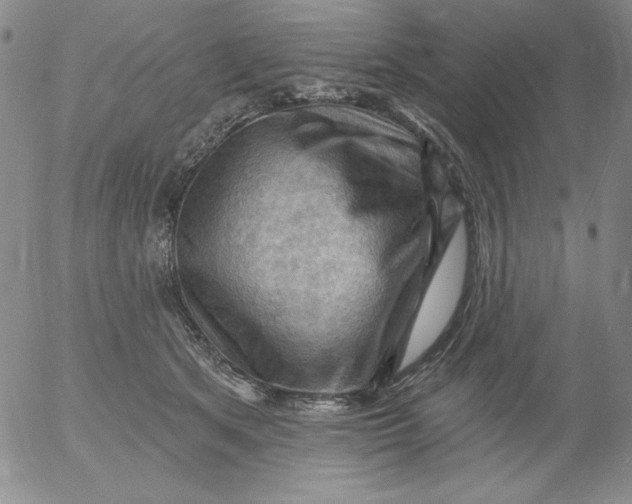 X0000053080513200508012009