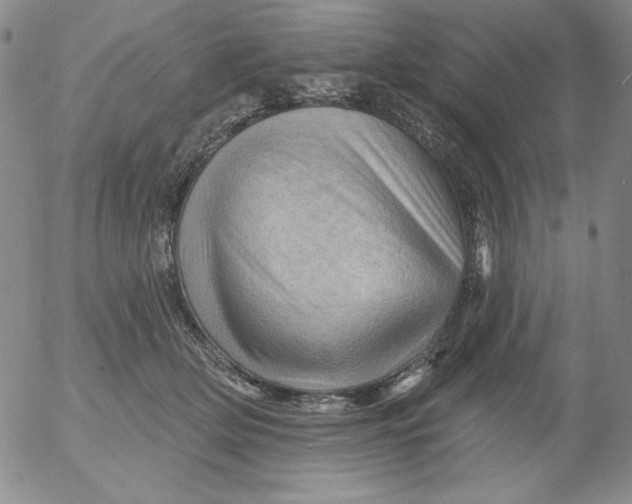 X0000053080514200508012009