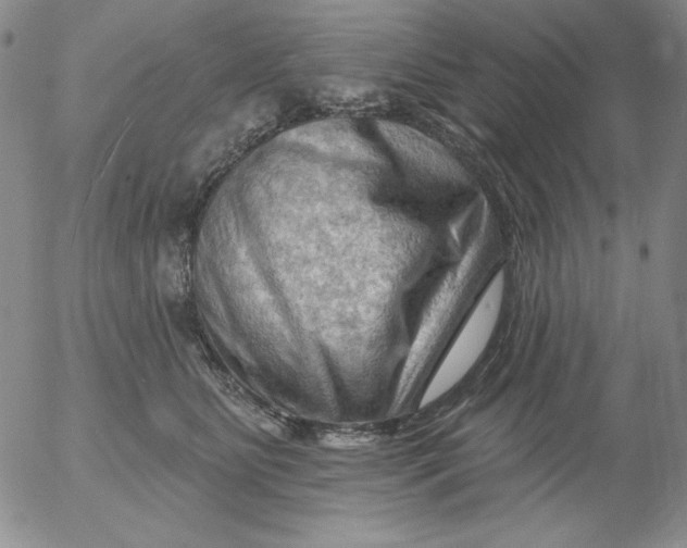 X0000053080515200508012009