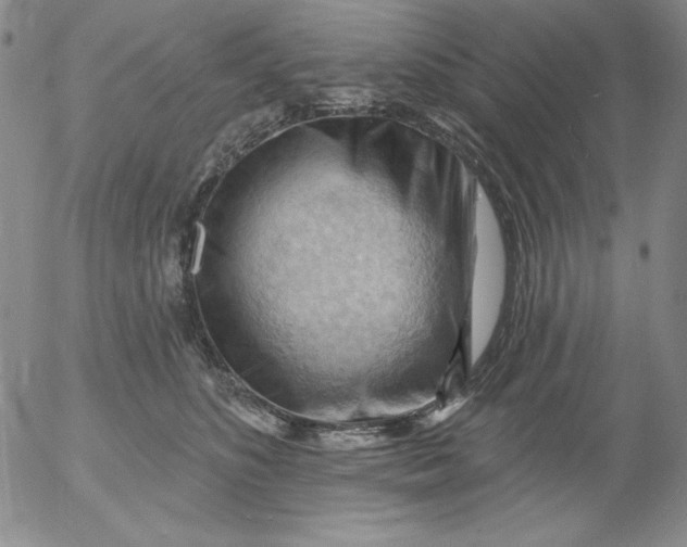 X0000053080516200508012009