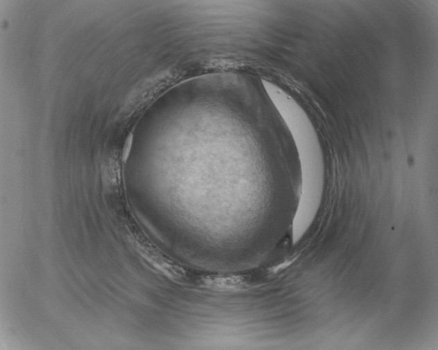 X0000053080517200508012009