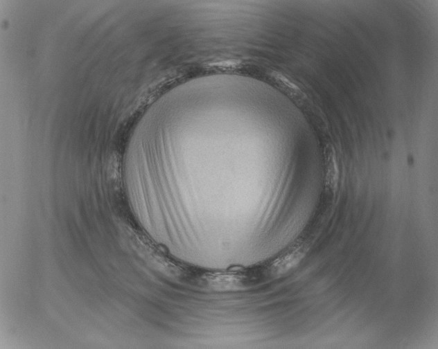 X0000053080518200508012009