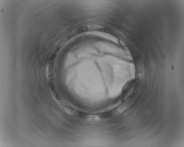 X0000053080519200508012009