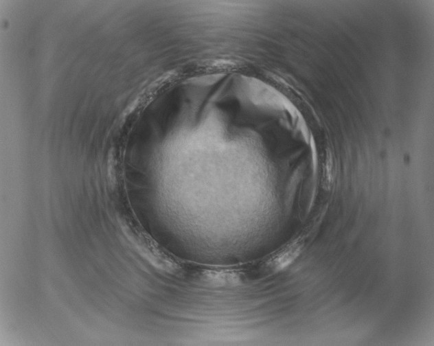 X0000053080520200508012009