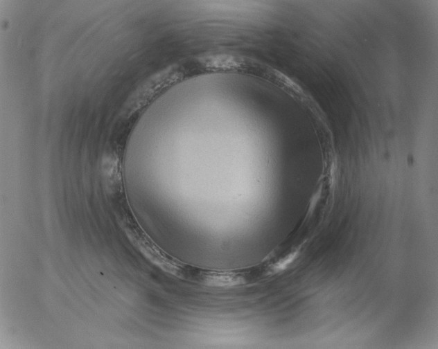 X0000053080521200508012009