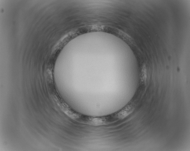 X0000053080522200508012009