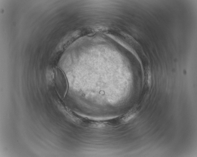 X0000053080523200508012009