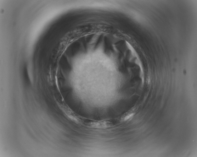 X0000053080524200508012009