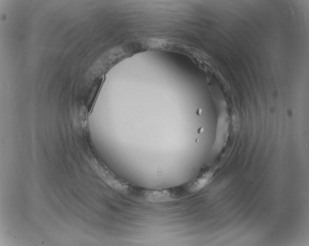 X0000053080525200508012009