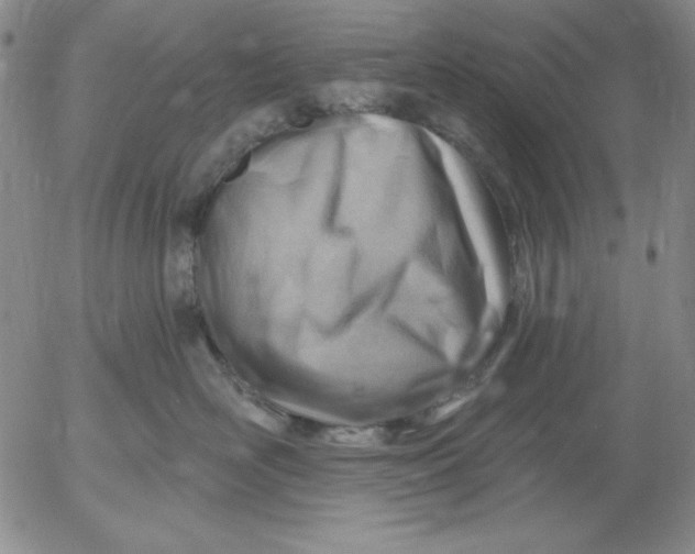 X0000053080526200508012009