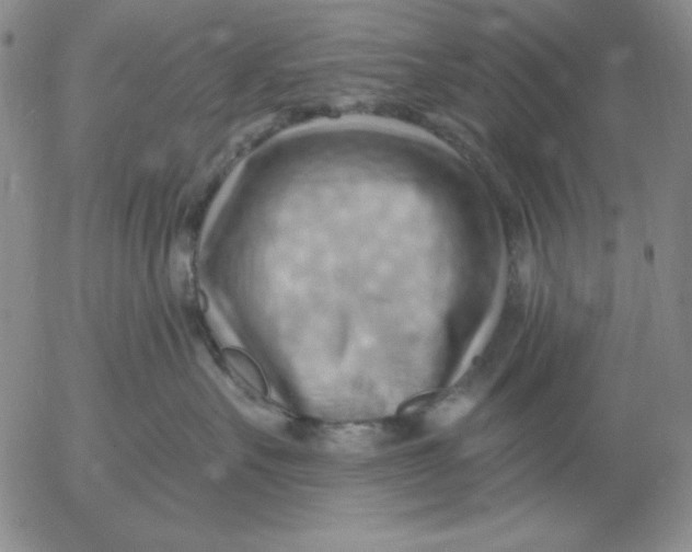 X0000053080527200508012009