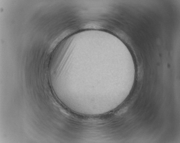 X0000053080529200508012008