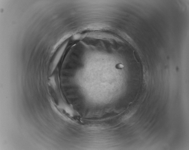 X0000053080530200508012008