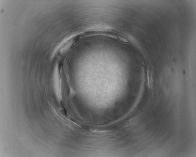 X0000053080531200508012008