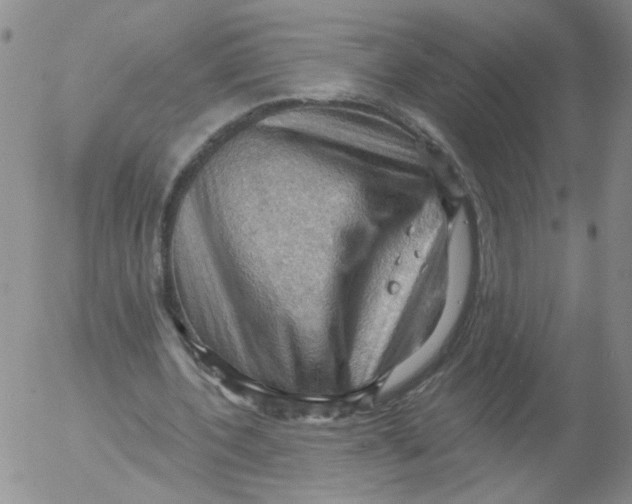 X0000053080532200508012008