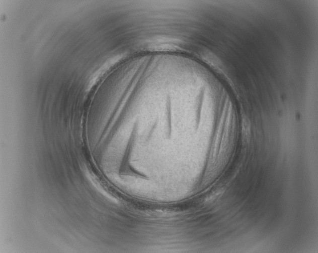 X0000053080533200508012008