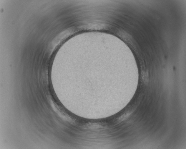 X0000053080534200508012008