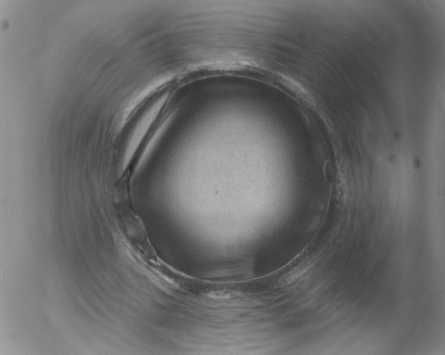 X0000053080535200508012008