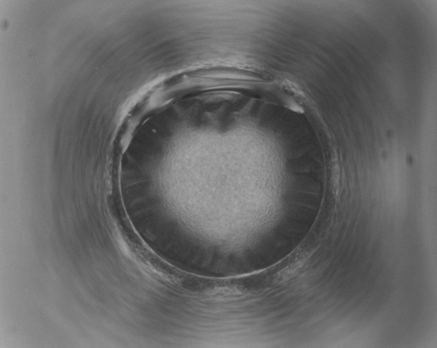 X0000053080536200508012009