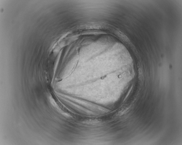 X0000053080537200508012009