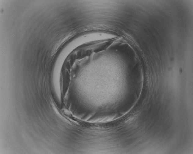 X0000053080538200508012009