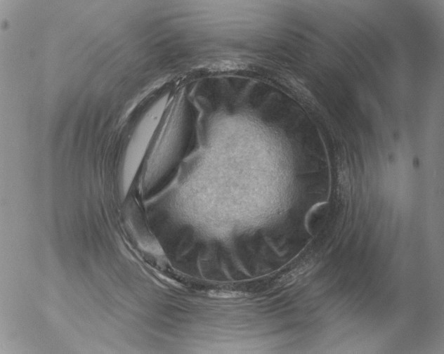 X0000053080539200508012009