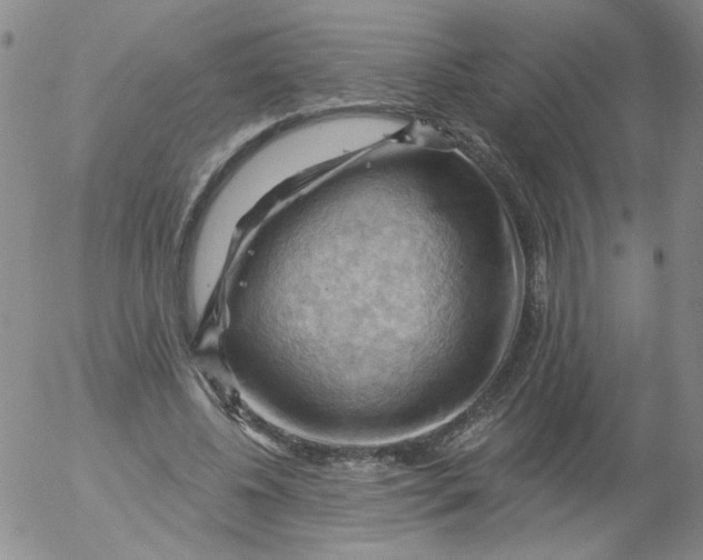 X0000053080540200508012009