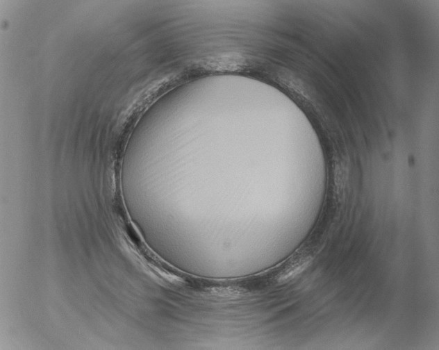 X0000053080541200508012009