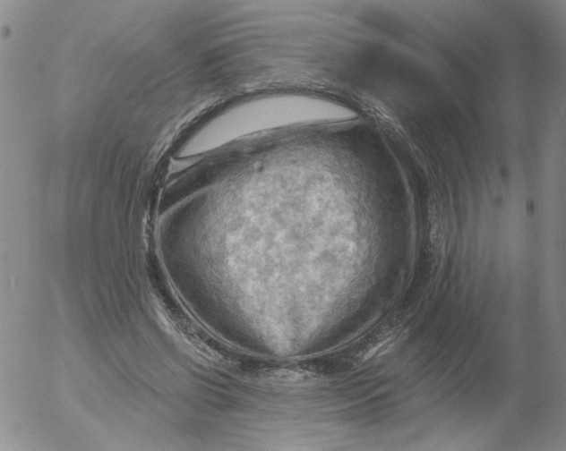 X0000053080542200508012009