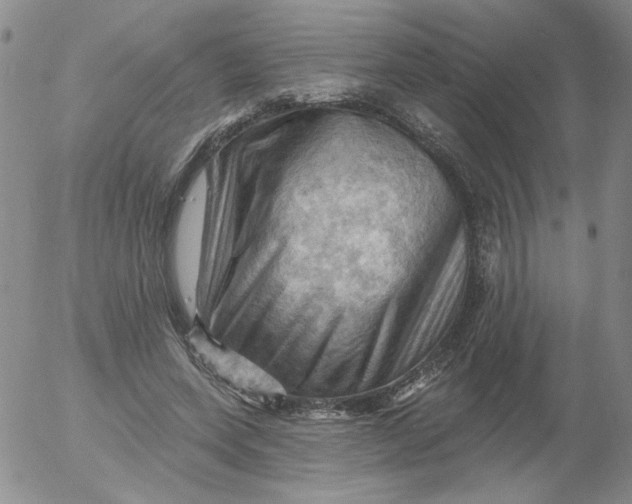 X0000053080543200508012009